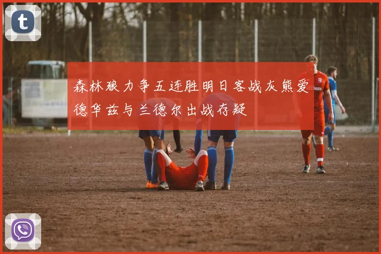 森林狼力争五连胜明日客战灰熊爱德华兹与兰德尔出战存疑