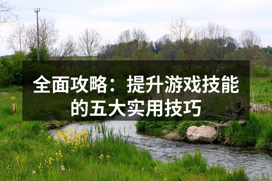 提升游戏技能的实用技巧